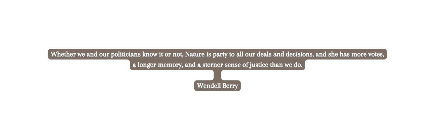 Whether we and our politicians know it or not Nature is party to all our deals and decisions and she has more votes a longer memory and a sterner sense of justice than we do Wendell Berry